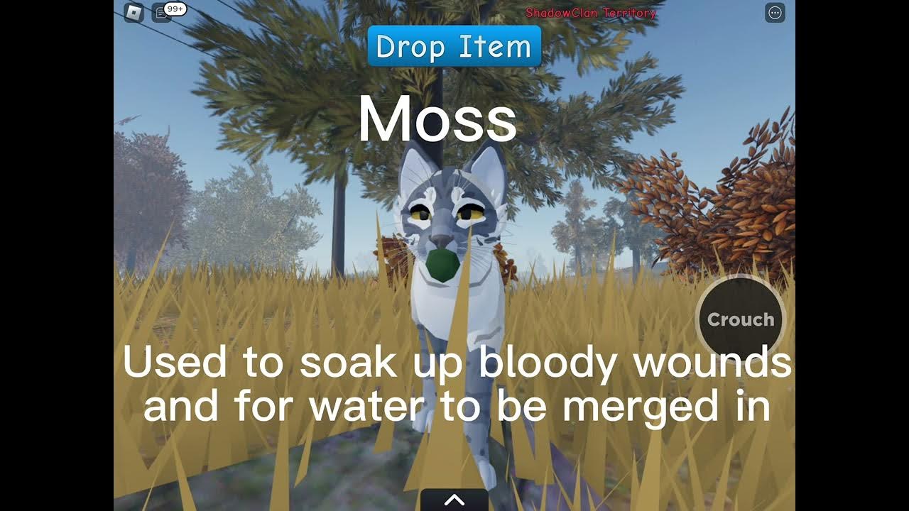 herb-uses-in-wcue-guide-wcue-warriorcats-youtube