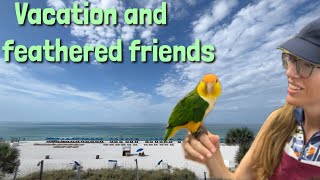 Vacation Bound, Heat Wave And Feathered Friends