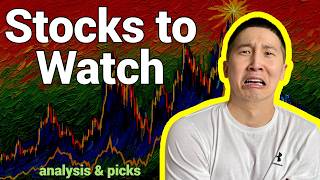 16 Stocks Just Raised Their Dividends (My Analysis & Picks)