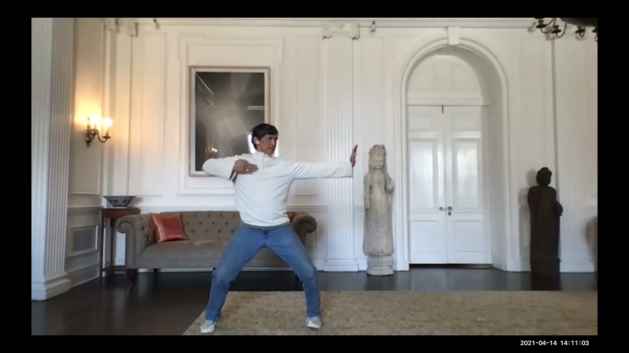 silkweaver-s-exercise-qigong-circling-palms-tao-tan-pai