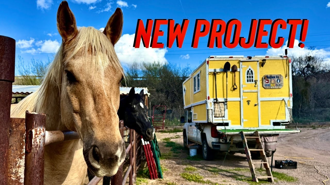 Nomad Camp to BIG Build: Converting a Horse Trailer Into Living Quarters