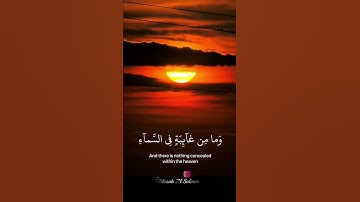 ( وان ربك يعلم ما تكن صدورهم ) القارئ : اسلام صبحي // #تصويري  // مصعب السلمان