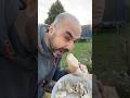 🍄 Grosse récolte de mes champignons maison ! 🌿 Pleurotes, éringis & conseils de culture