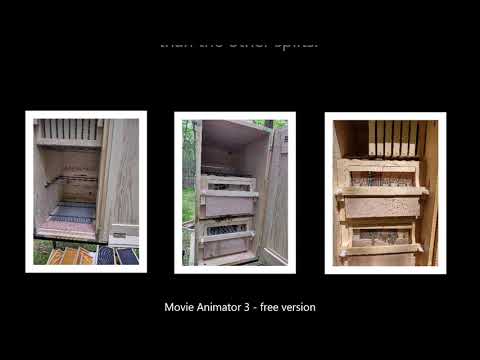 Added a split to a Slovenian Hive by Pineywoods