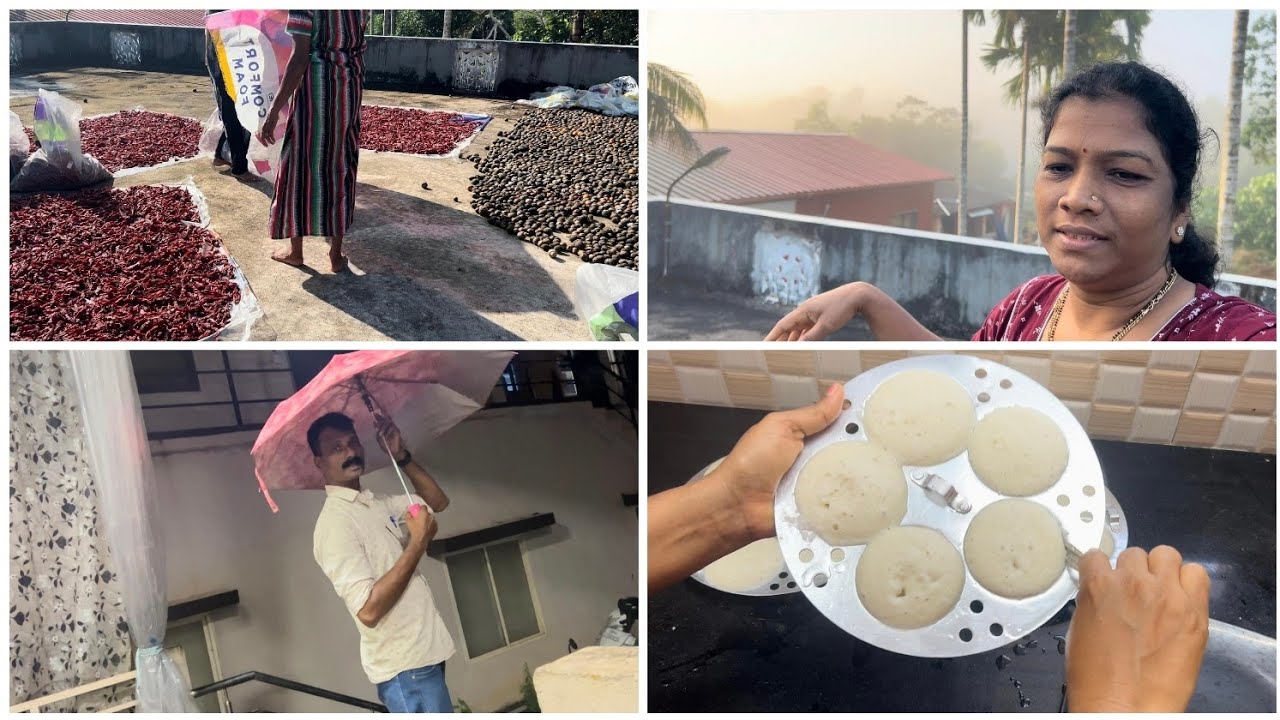 Idli Premix Ready And nikleg 🙏🙂 || Yedde quality red chilli incha test malpod