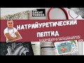 НАТРИЙУРЕТИЧЕСКИЕ ПЕПТИДЫ. АНАЛИЗ НА СЕРДЕЧНУЮ НЕДОСТАТОЧНОСТЬ