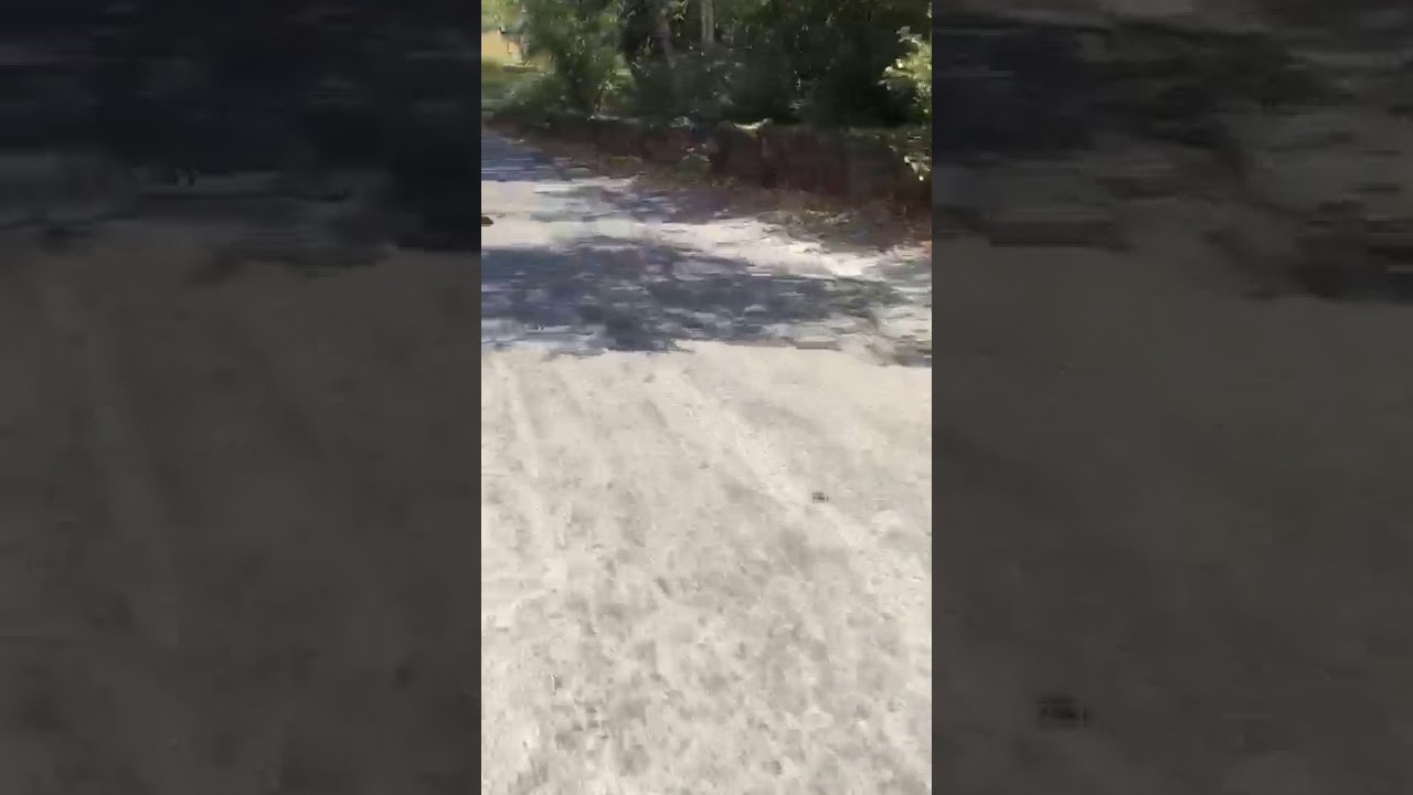 Live accident Abu road