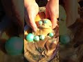 Lucky girl gets high-quality colored pearls #pearl #pearlhunter #fishing