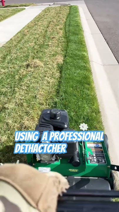 USING PROFESSIONAL DETHATCHER - YouTube