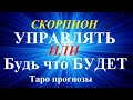 СКОРПИОН.  Трепыхаться или Будь что Будет? Развитие событий. Ваш выбор. Таро.