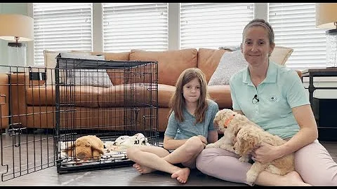 The Ultimate Crate Training Guide For Your New Dog Or Puppy