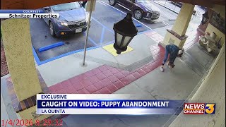 EXCLUSIVE: Puppies abandoned outside La Quinta grocery stores, officials say
