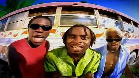 Baha Men - Who Let The Dogs Out (Official Video) - DayDayNews