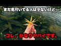 【コイケフィッシュ】使い方が分かった瞬間、最強ルアーになりました。