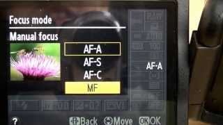 Beginner DSLR Photography basics: Nikon Focus Mode guide