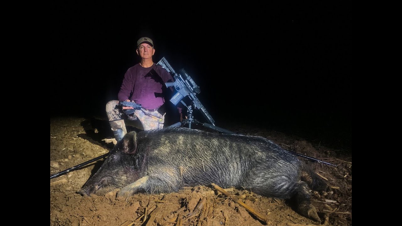 Jeff Smith's First Hog A Big South Carolina Boar YouTube