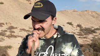 طريقه أكل الثعابين الحيه في ميدان التعايش مع محمد بحبح