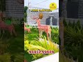 MUDA approved Open plots Independent house Vijayawada Machilipatnam highway 9885299889.#harivillu