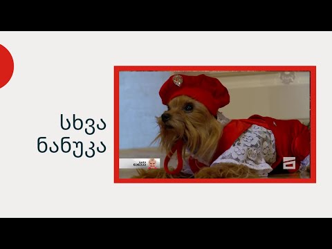 სხვა ნანუკა - მოდური იორკი პოდიუმზე