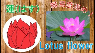 折り紙 立体の花の折り方 簡単な蓮の花の折り方 作り方を動画で紹介 Origami Lotus Youtube