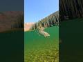 Рыбалка на горную форель в Казахстане Mountain trout fishing in Kazakhstan