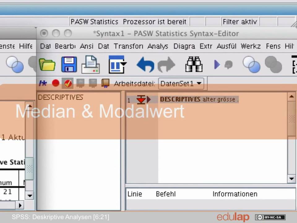 Spss Mittlewerte Und Streuungsmasse Youtube
