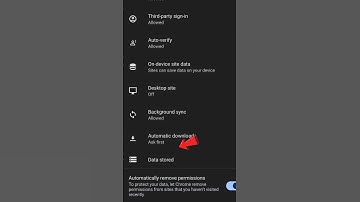 Google Chrome Secret Setting