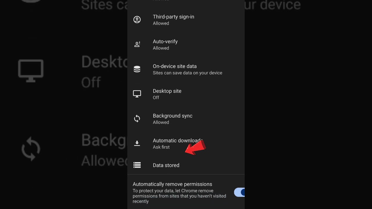 Google Chrome Secret Setting