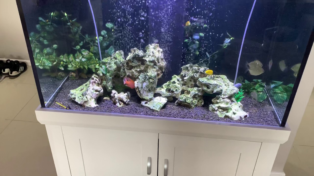 Aqua One Aqua Reef Cichlid tank