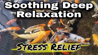 Stress Relief! Deep Relaxation Soothing, Insomnia Anxiety and Good Sleep 😴 💤