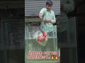 DYK 125M WATERPROOF MACHINE #shortvideo #powertool #dykindia #marble #machine 4 u