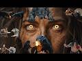 Ice Age Chronicles | Stone Age Technology Survival - Life Million Years Ago | Hominid Survival