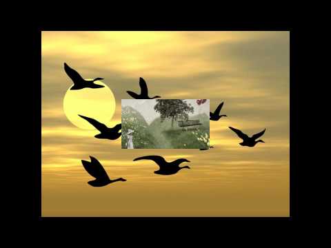 პატივისცემით პოეტ ნინო ალადაშვილს...