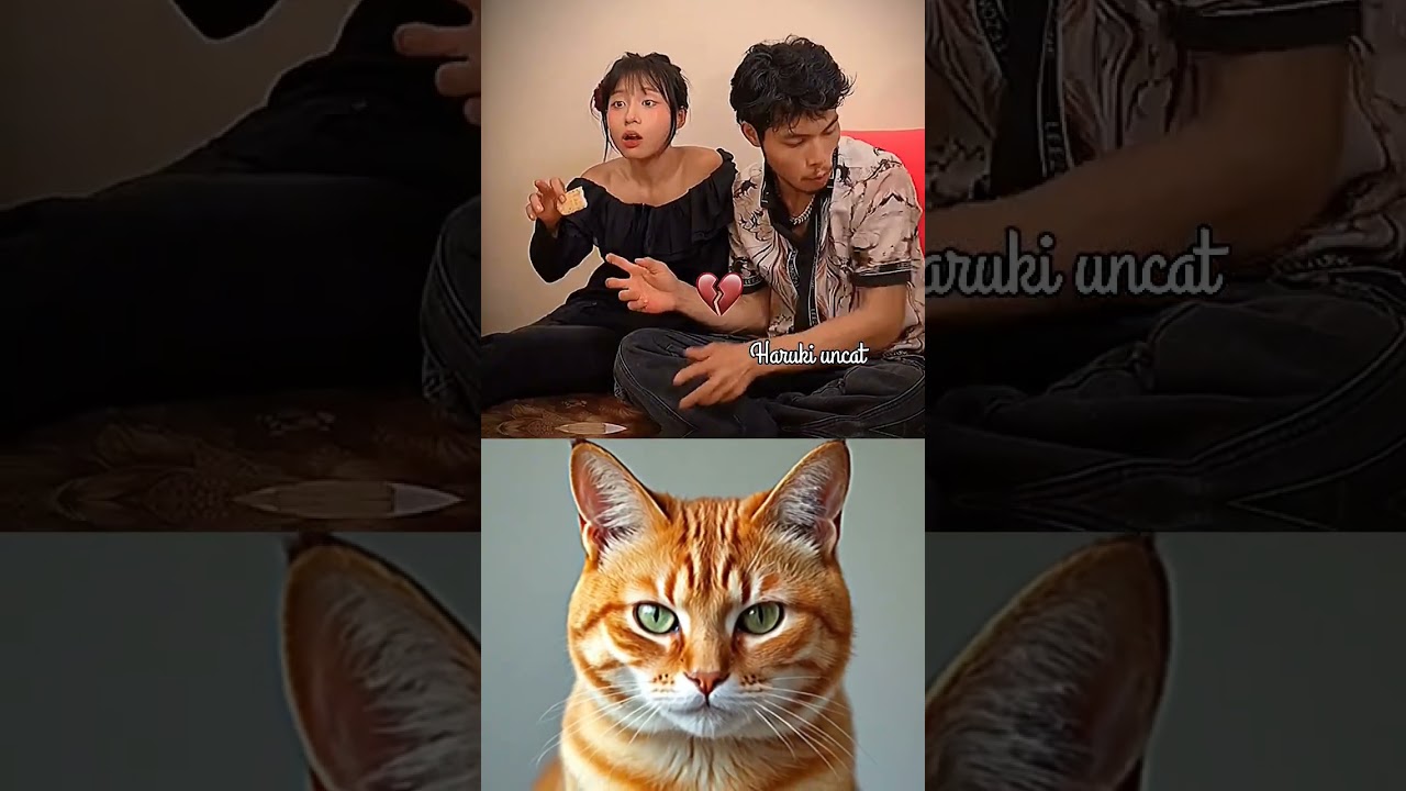 This Happened…"😂