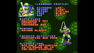 SNES Capture Test