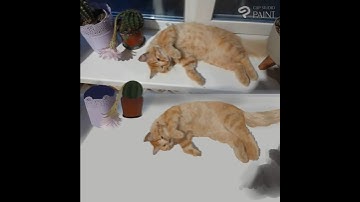 Cat Time Lapse #clipstudiopaint  #timelapse