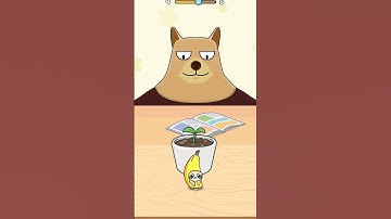 Banana cat hide and see 3D Gameplay walkthrough☺️|All Levels|New Update #shorts #youtubeshorts