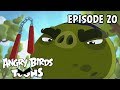 Angry Birds Toons | Brutal vs Brutal - S2 Ep20