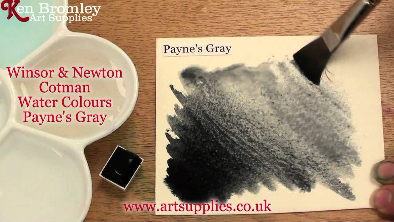 Winsor & Newton Professional Watercolor - Payne's Gray, 14ml Tube