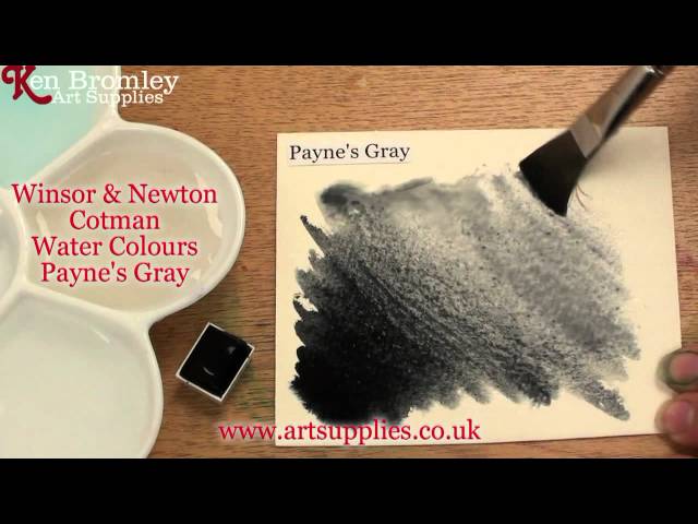 Winsor & Newton Cotman Watercolor 8ml Payne's Gray