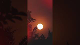 tere aeha saso me #trending #love #song #capcut