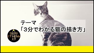 5分でわかる猫の描き方 絵の描き方 ー中学校の美術で使える動物スケッチの書き方のコツ Youtube