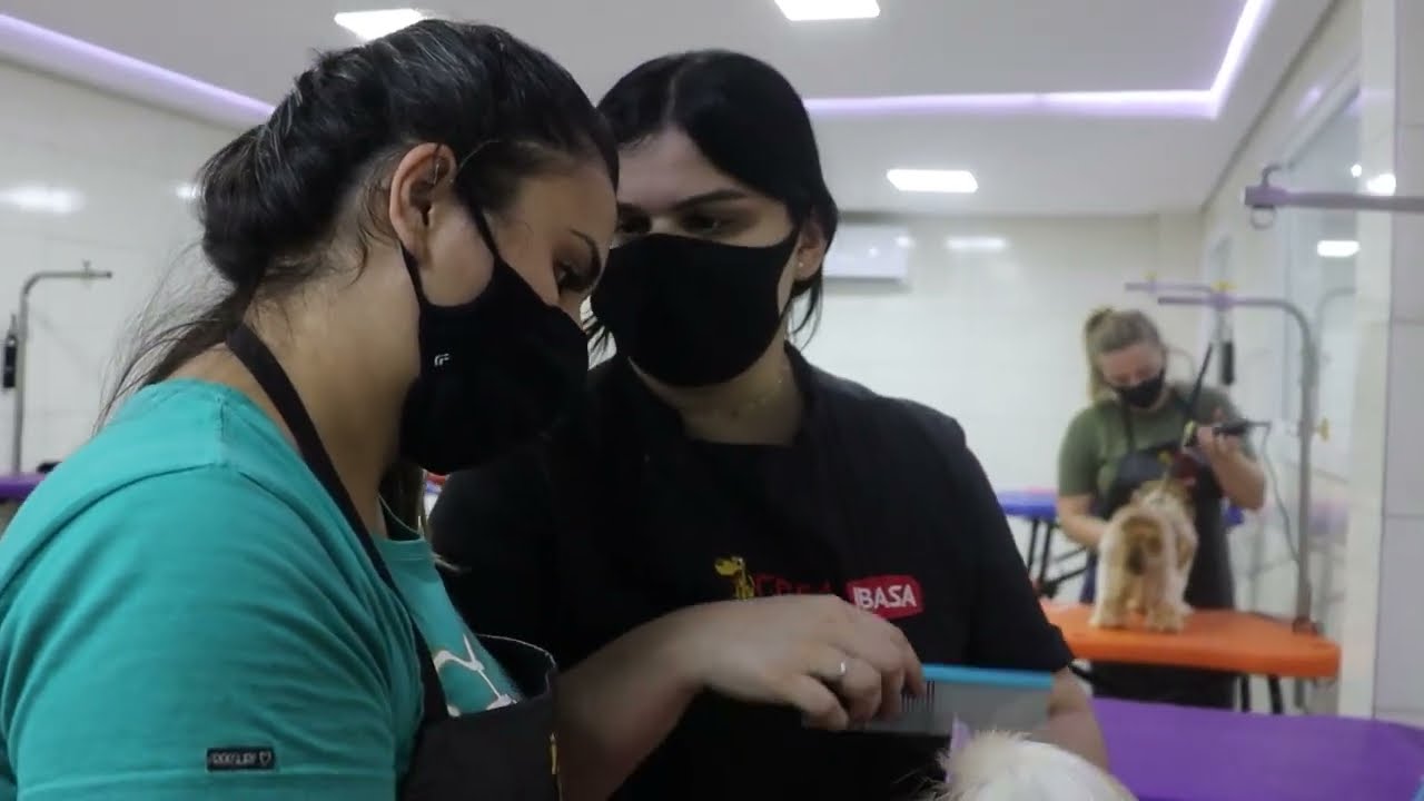CPEA Cursos Pet - Escola de Banho e Tosa