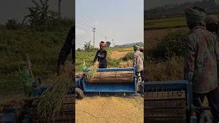 MODERN MACHINE RICE THRESHING PROCESS 🌾