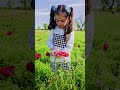 Kapaliydin Sessiz ve derin Bir şık dokundu Yapraklarına Ve yavaşça açtım seni Renklerini saçtın