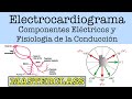 Electrocardiograma, Fisiología de la Conducción: Masterclass