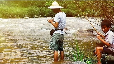 CÂU CÁ BỐNG SUỐI