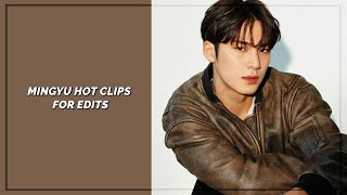 Mingyu Hot Clips For Edits Hd