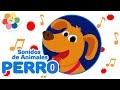 Aprende Los Sonidos de Animales - El Perro | Canciones Infantiles del Sonido de Animales | BabyFirst