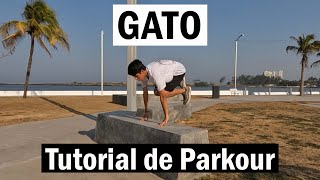 CAT / MONKEY TUTORIAL - Parkour Wealth